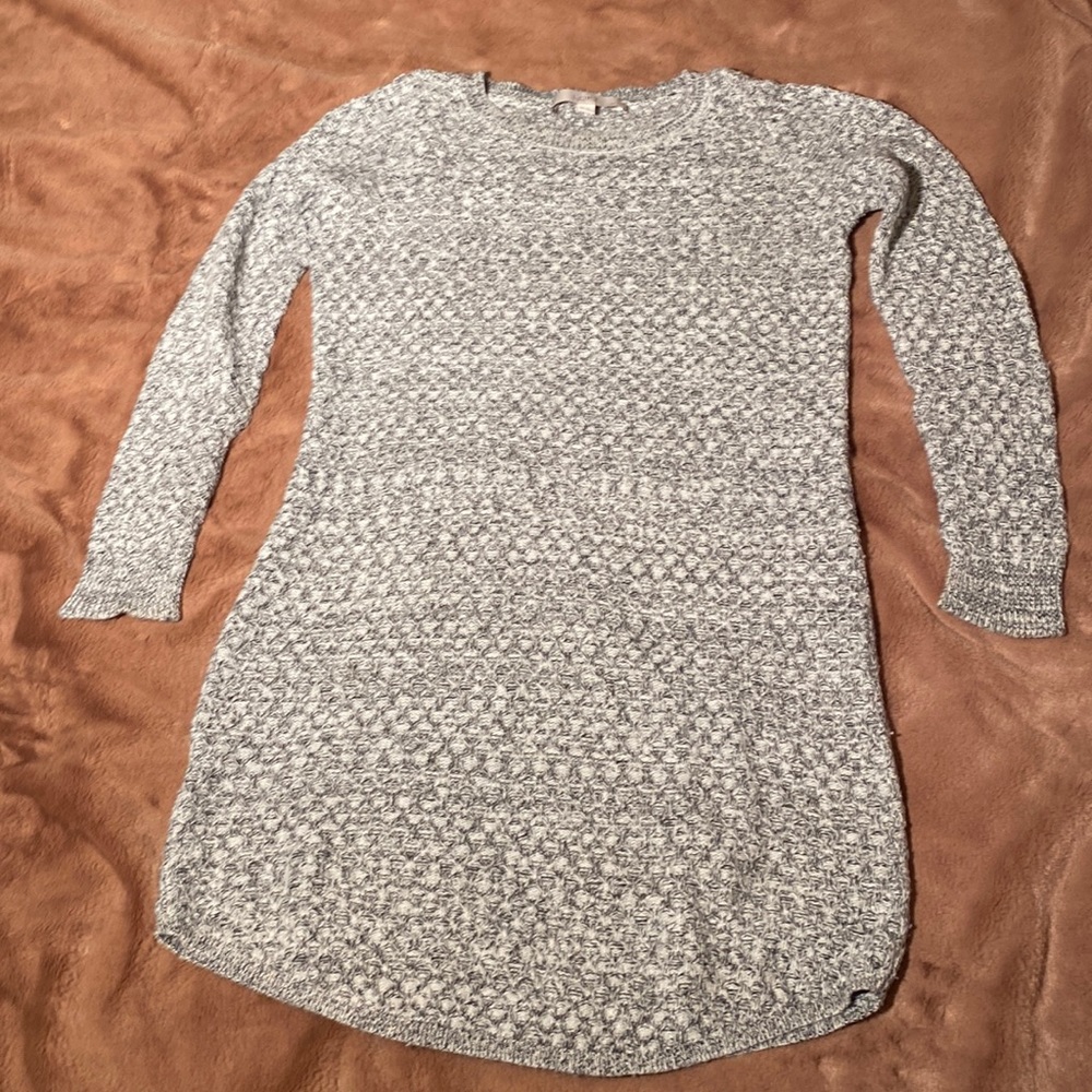 Ann Taylor Loft Petites Sweater Dress with Camel hair